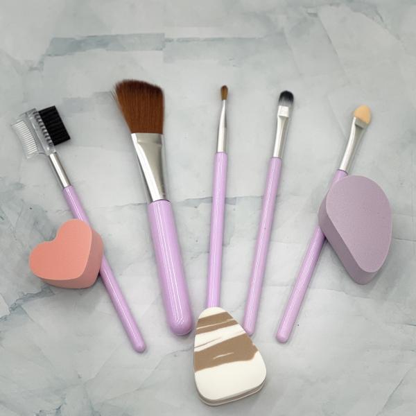 Set Brochas + Esponjas